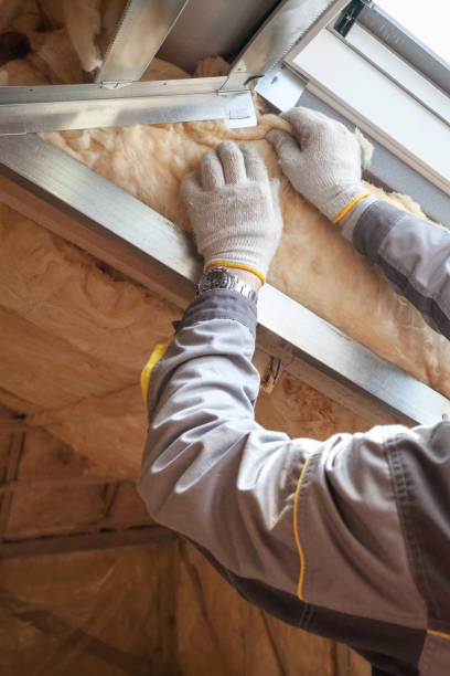 Best Specialized Insulation Services in Markham, IL